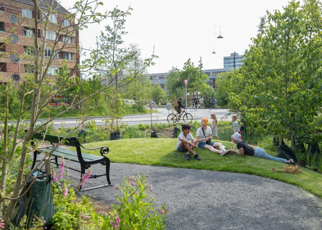 Why Sustainable Landscaping Is Becoming Essential in Urban Cities