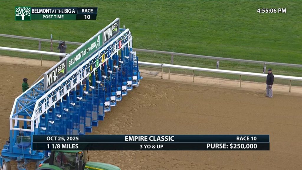Sport Stakes Beneath the Posts