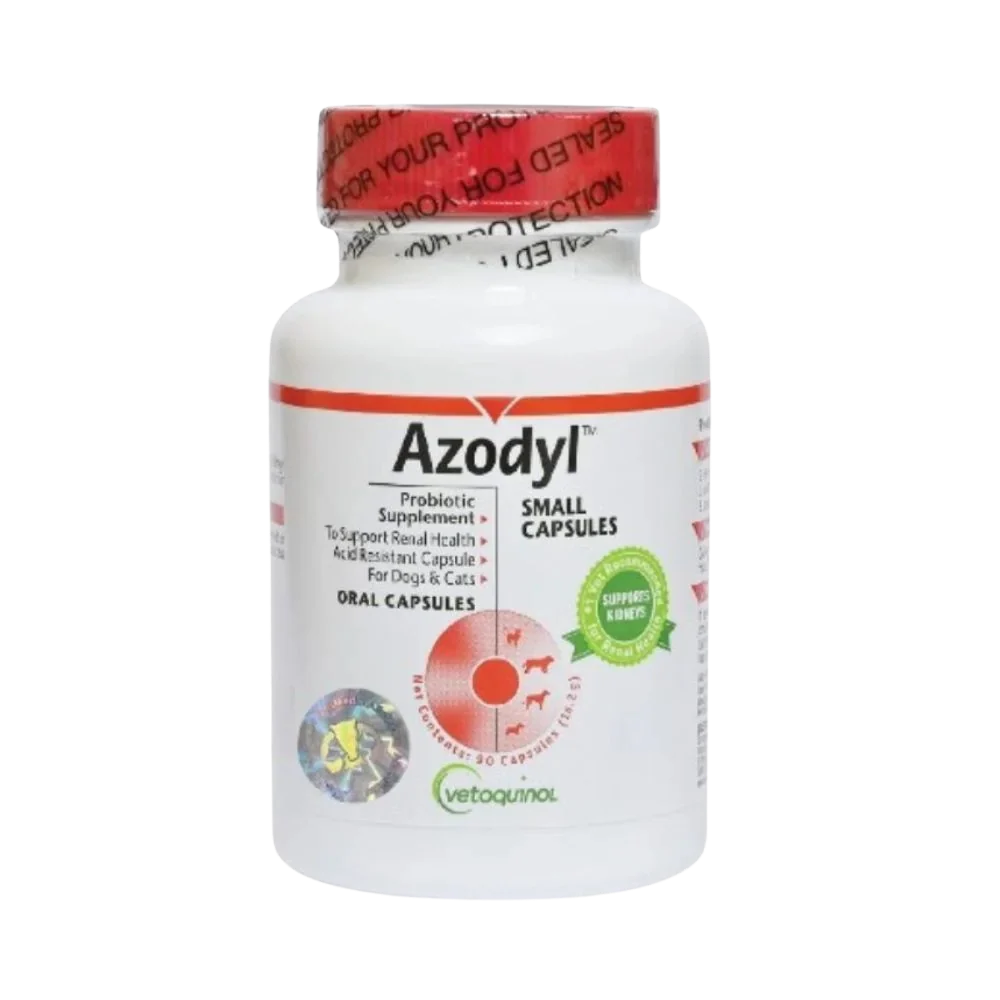 Choosing Pet Vitamins and Supplements for Better Canine Health
